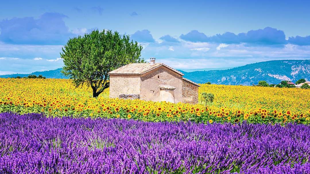 Informationsreise in die Provence 2021 – Neuer Termin!
