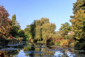 Seerosenteich in den Gärten von Monet in Giverny